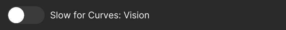 Slow for Curves: Vision, off
